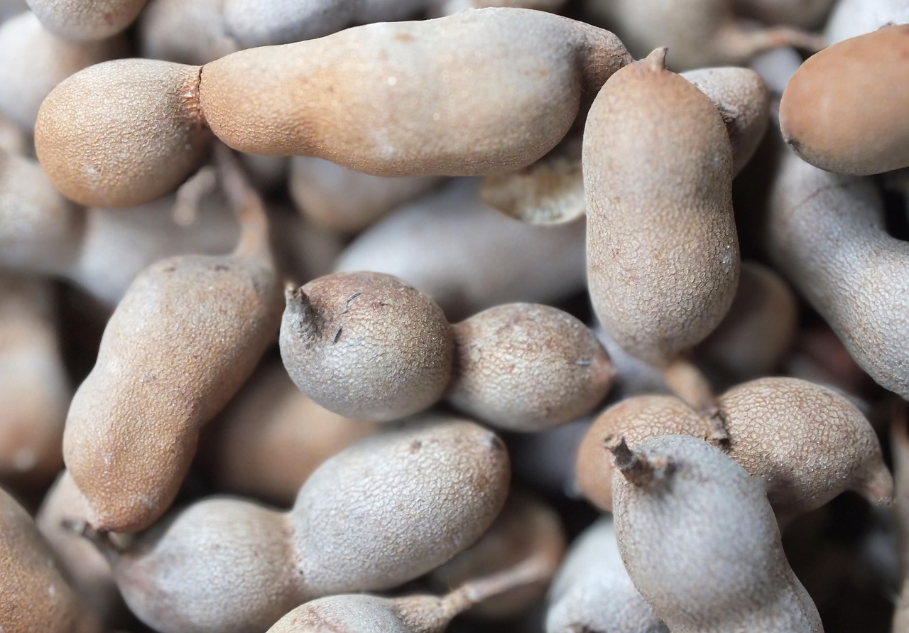 Tamarindas: organinės rūgštys švelniam žarnyno valymui